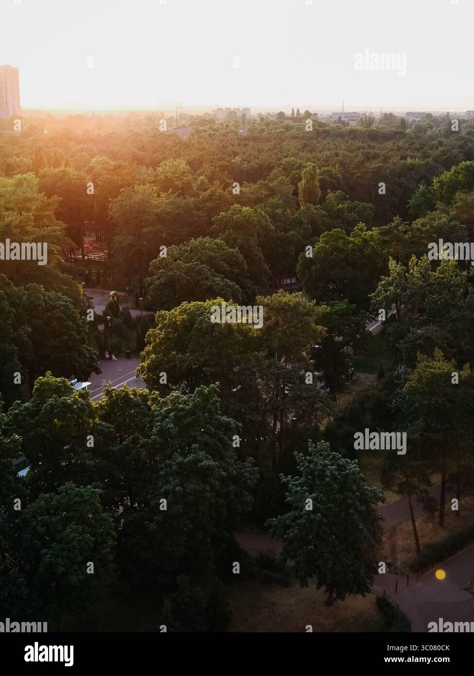 Untergehende Sonne über dem Park - aus der Vogelperspektive. Grüne Bäume in untergehenden Sonnenstrahlen, großer Park am Stadtrand. Stockfoto