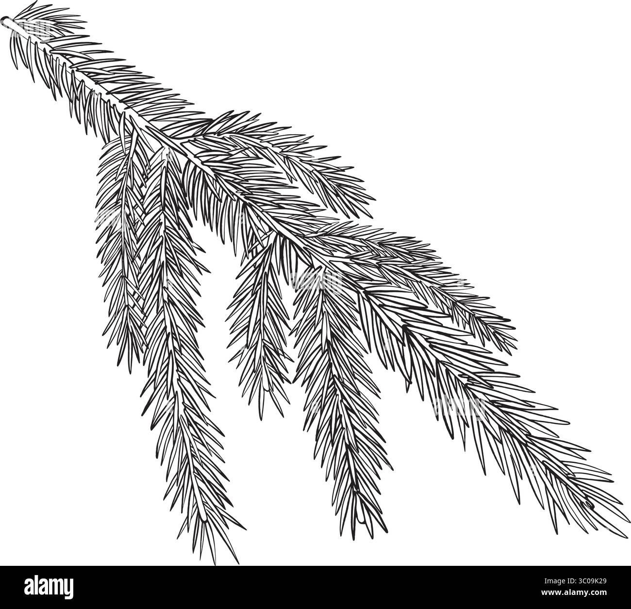 Tannenzweig, Zeichenvektor-Grafikstil. Perfekt für Weihnachtsdekoration, Winterkarten, festliche Kompositionen, saisonale Designs und Naturmotive Stock Vektor