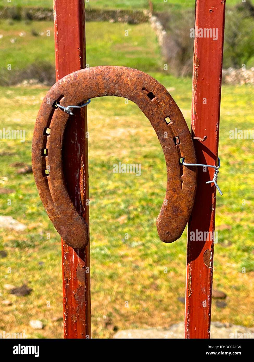 Hufeisen Stockfoto