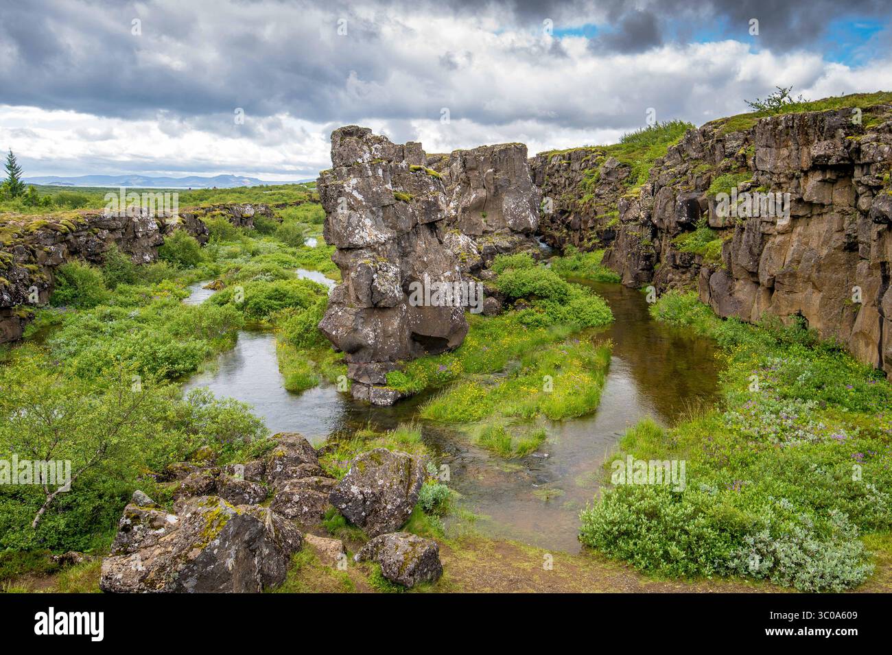 16. Juli 2017 - Island - Island - Thingvellir, das Grabenbruchtal, das den Kamm des Mittelatlantischen Rückens und die Grenze zwischen der nordamerikanischen tektonischen Platte und dem Eurasischen markiert (Bild: © Edwin Remsberg / Vwpics/VW Pics Via ZUMA Wire) Stockfoto