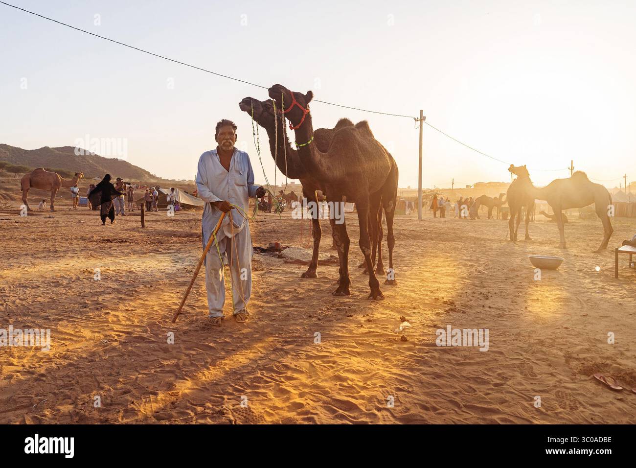 Pushkar Kamel Fair, 2024, Rajasthan, Indien Stockfoto
