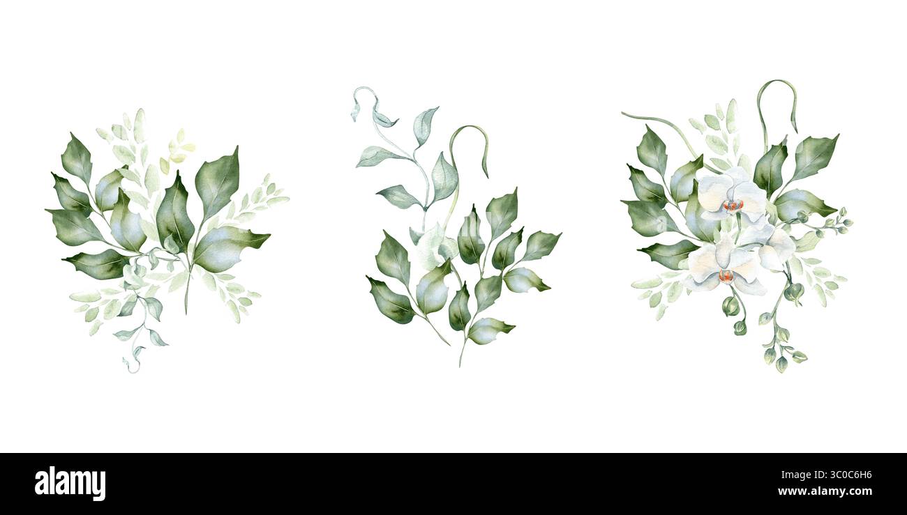 Grüner Blumenstrauß aus stechpalmenzweigen und Orchideenblüten, zartes Aquarellklipart isoliert. Blattbündel handgezeichnet in weichem Grün. Weiß Stockfoto