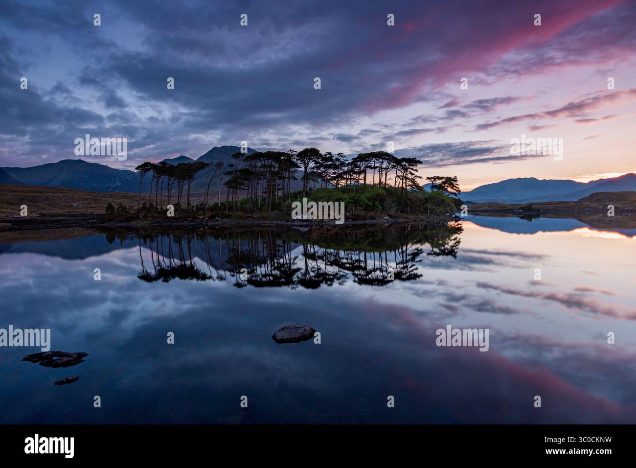 Atemberaubender Sonnenaufgang von Pine Island, Derryclare Lough, Connemara, Galway, Republik Irland Stockfoto