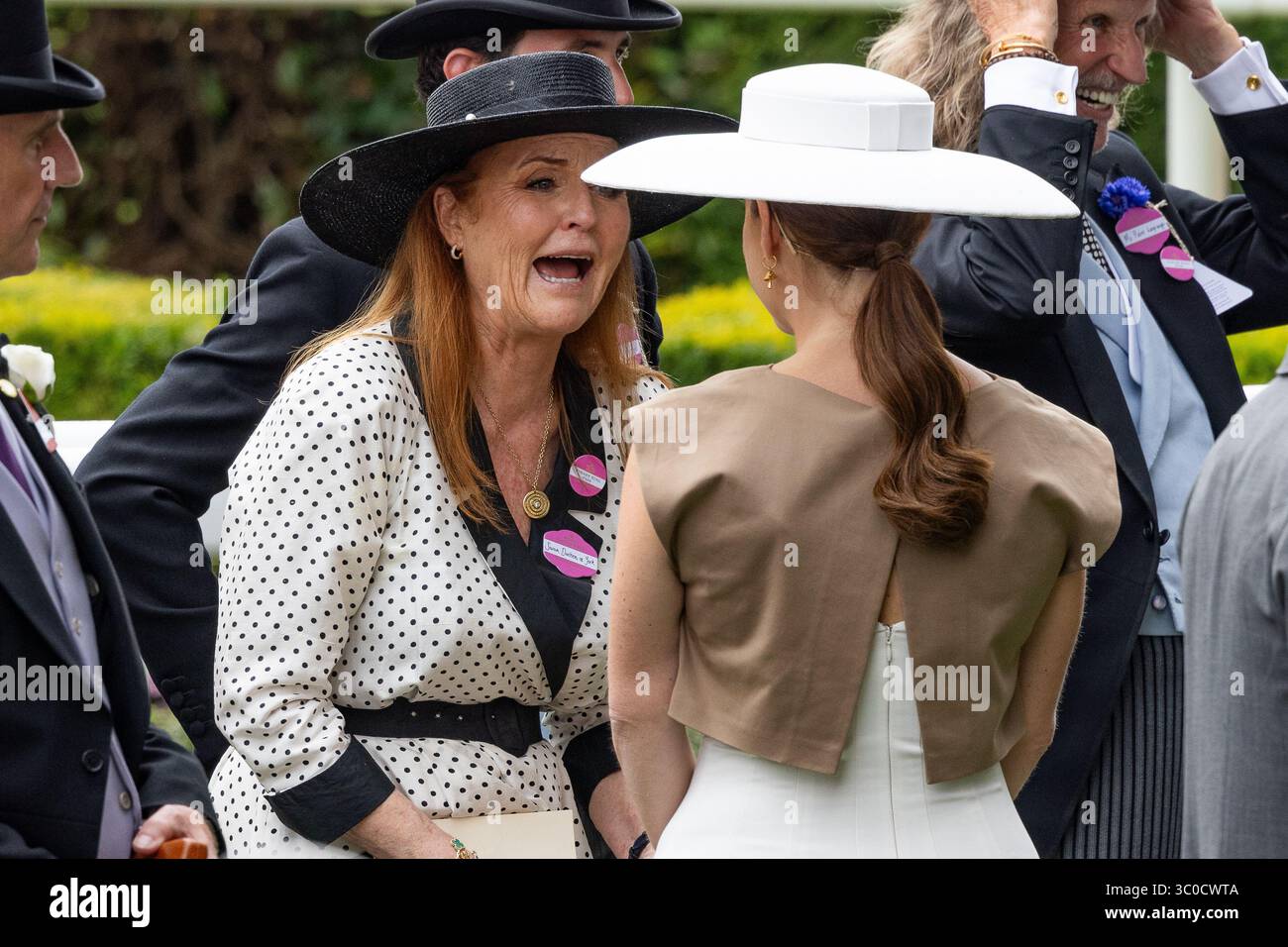 Mitglieder der britischen Königsfamilie, darunter König Karl III., Königin Camilla, Prinzessin Royal, Zara Tindall, Sarah Ferguson, Prinzessin Beatrice besucht Tag vier von Royal Ascot 2025 Stockfoto