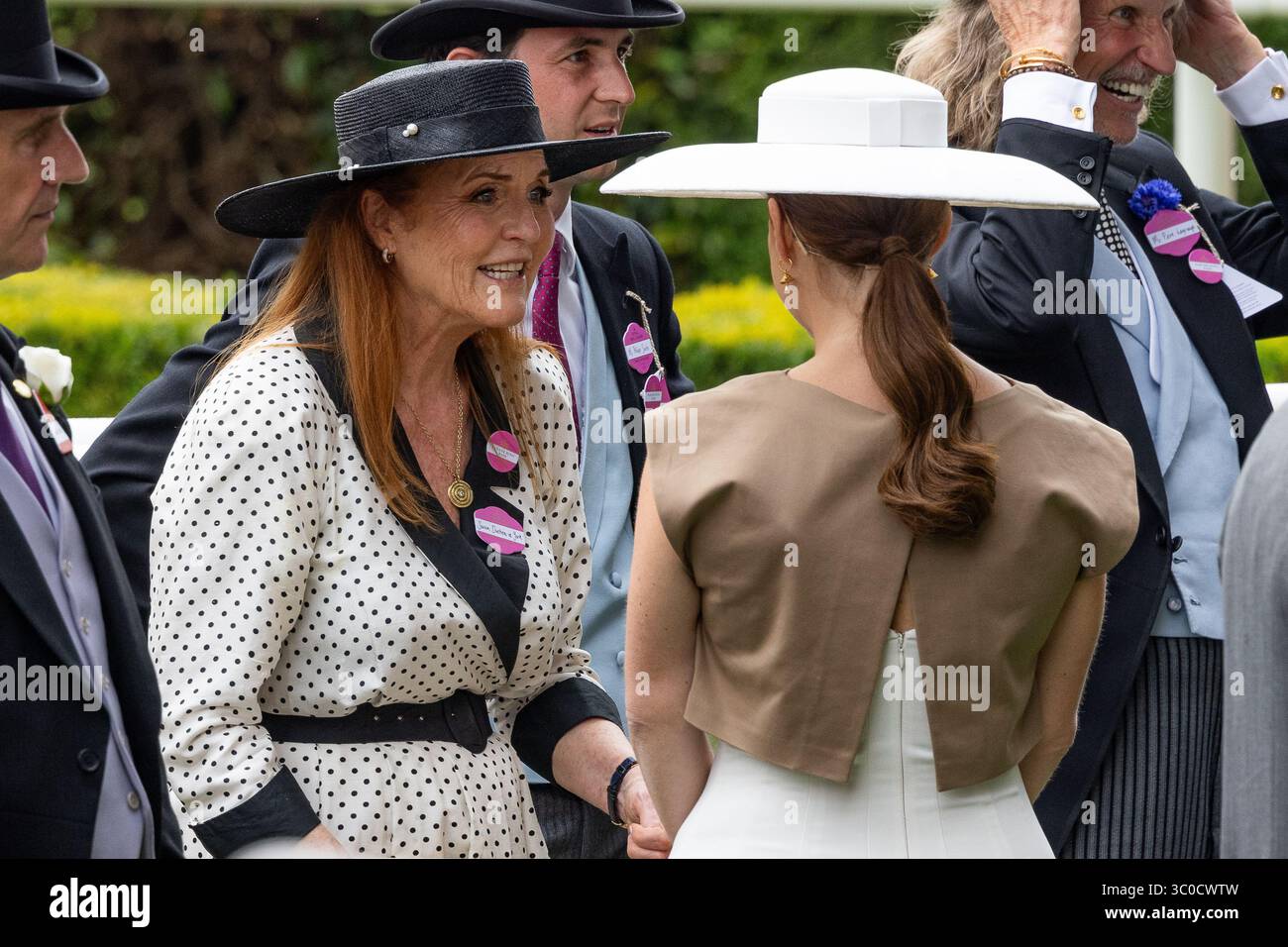 Mitglieder der britischen Königsfamilie, darunter König Karl III., Königin Camilla, Prinzessin Royal, Zara Tindall, Sarah Ferguson, Prinzessin Beatrice besucht Tag vier von Royal Ascot 2025 Stockfoto