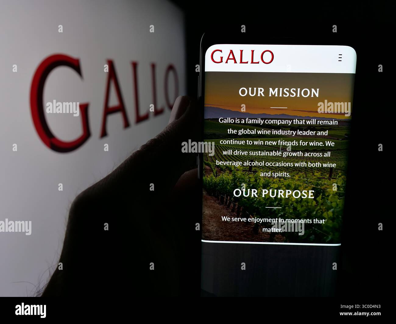 Stuttgart, Deutschland - 17.05.2025: Person, die ein Smartphone hält, mit Webseite des US-amerikanischen Weinherstellers E. J. Gallo Winery auf dem Bildschirm vor dem Logo. Stockfoto