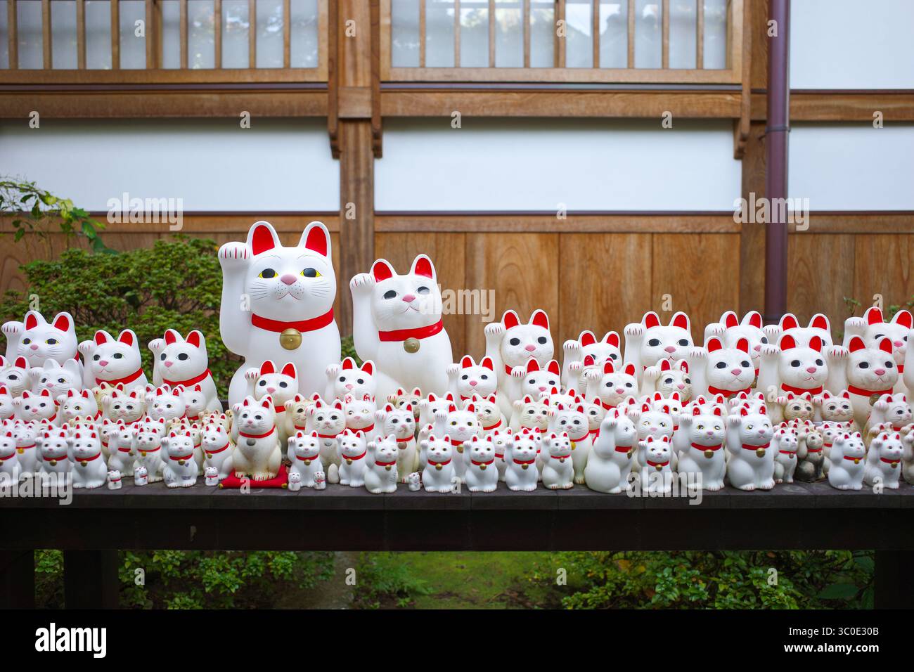 Viele Statuen der weißen Glückskatze im Gotokuji-Tempel, Symbol für Glück und Wohlstand in Japan. Stockfoto