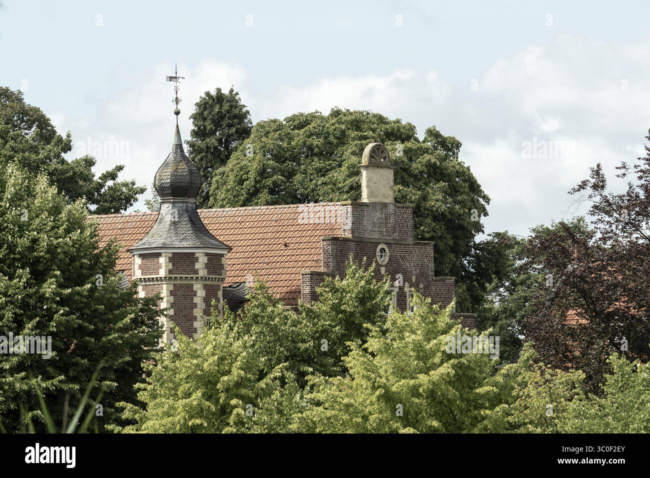 Wunderschöne europäische Burg mit Schiefer- und Ziegeldach, umgeben von Bäumen, an einem bewölkten Sommertag Stockfoto