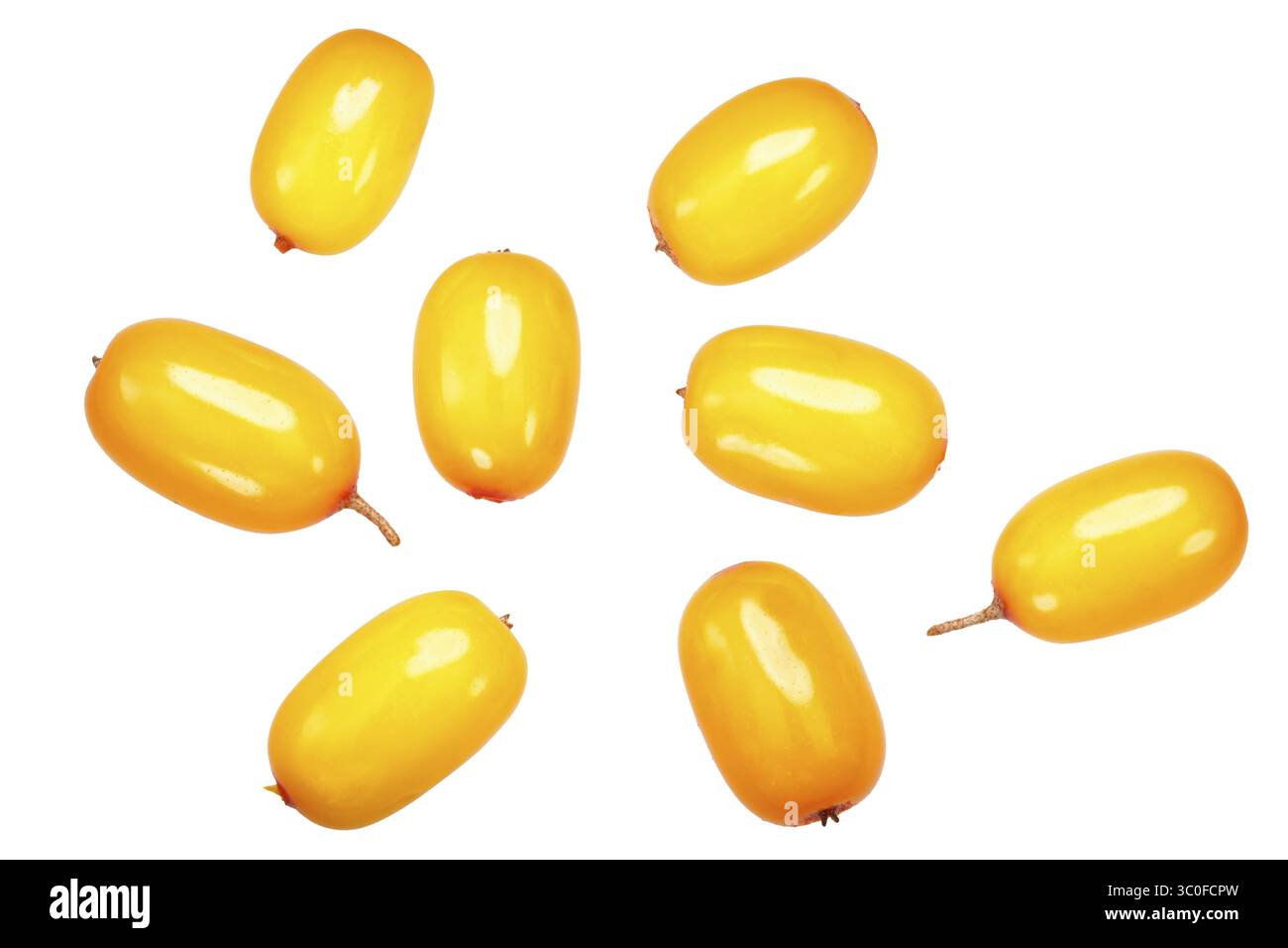 Sanddornbeeren (Hippophae rhamnoides Früchte), Ansicht von oben Stockfoto