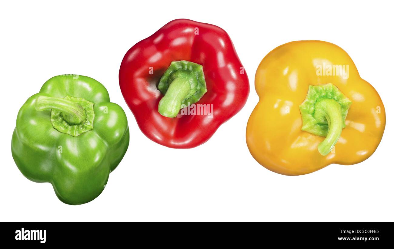 Rote, grüne und gelbe Paprika (Capsicum annuum), ganze Schoten, Ansicht von oben Stockfoto