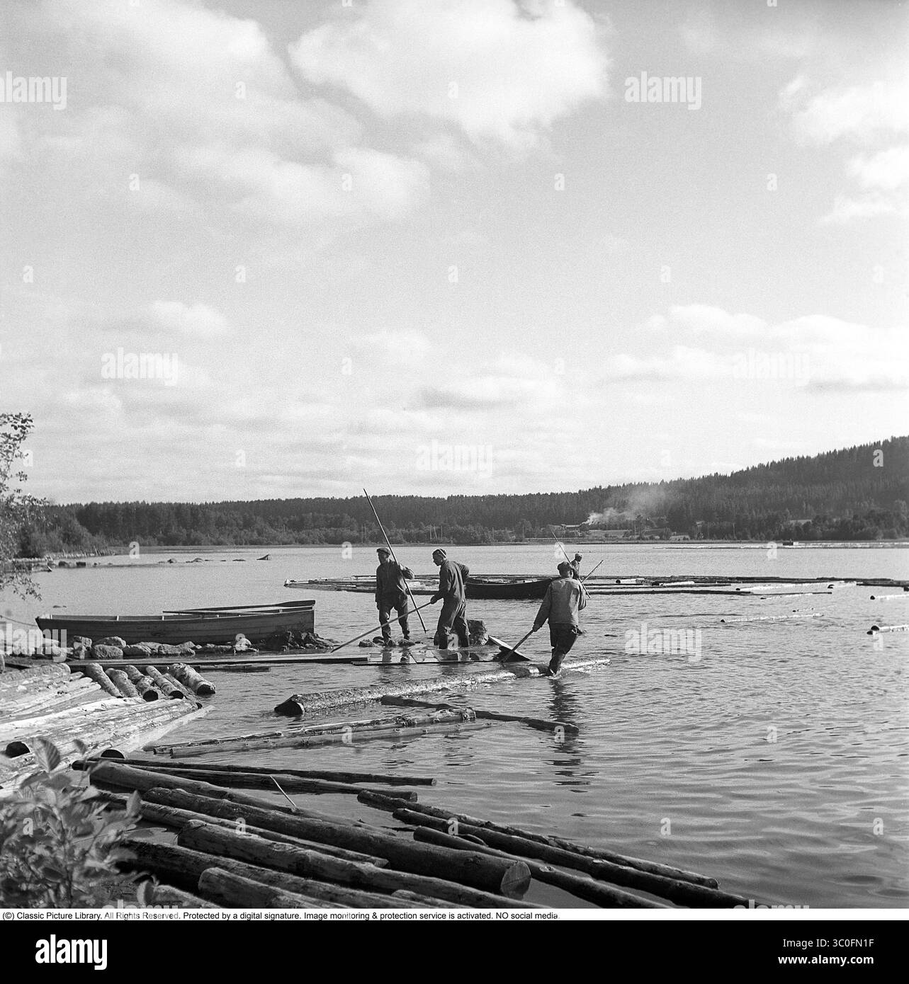 Rafting im Jahr 1948. Drei Männer arbeiten als Holzfahrer auf dem Österdalälven bei Leksand, wo die Stämme stromabwärts getrieben werden, um in der heimischen Holz- und Zellstoffindustrie zu Holz oder Zellstoff verarbeitet zu werden. Mit ihrem Arbeitsgerät, dem sogenannten Holzfällerhecht, konnten sie die Stämme schieben, bewegen, anstoßen und an ihre Stelle ziehen. Eine körperlich anstrengende Aufgabe. Svahn Stockfoto