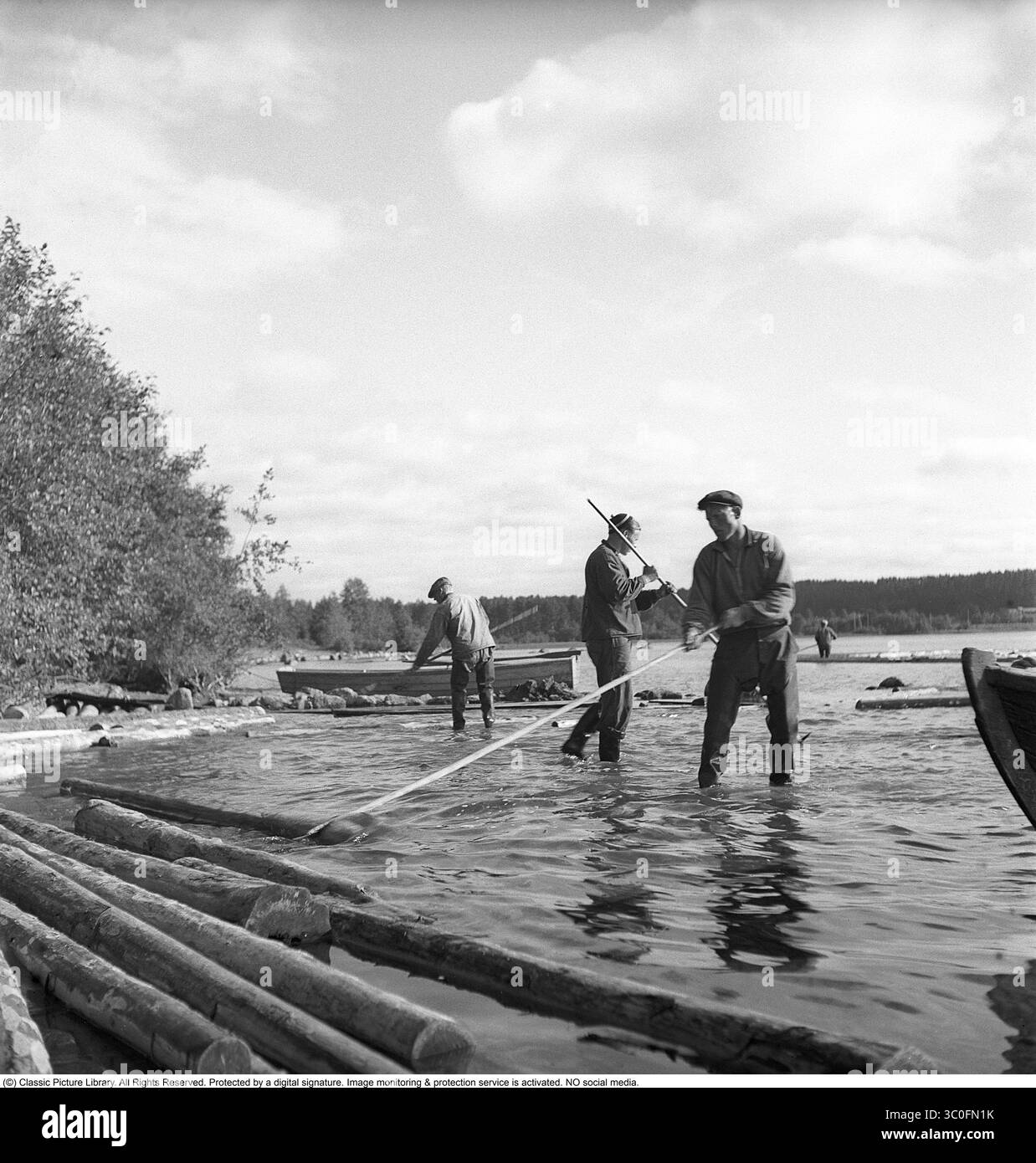 Rafting im Jahr 1948. Drei Männer arbeiten als Holzfahrer auf dem Österdalälven bei Leksand, wo die Stämme stromabwärts getrieben werden, um in der heimischen Holz- und Zellstoffindustrie zu Holz oder Zellstoff verarbeitet zu werden. Mit ihrem Arbeitsgerät, dem sogenannten Holzfällerhecht, konnten sie die Stämme schieben, bewegen, anstoßen und an ihre Stelle ziehen. Eine körperlich anstrengende Aufgabe. Svahn Stockfoto