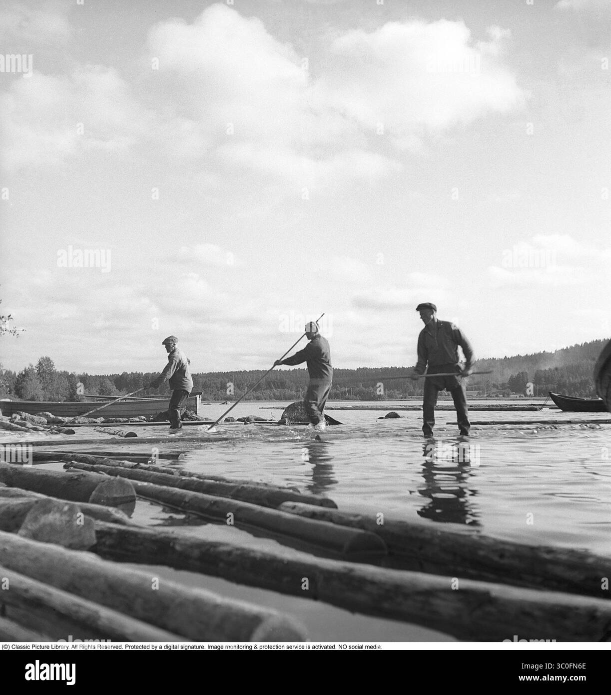 Rafting im Jahr 1948. Drei Männer arbeiten als Holzfahrer auf dem Österdalälven bei Leksand, wo die Stämme stromabwärts getrieben werden, um in der heimischen Holz- und Zellstoffindustrie zu Holz oder Zellstoff verarbeitet zu werden. Mit ihrem Arbeitsgerät, dem sogenannten Holzfällerhecht, konnten sie die Stämme schieben, bewegen, anstoßen und an ihre Stelle ziehen. Eine körperlich anstrengende Aufgabe. Svahn Stockfoto