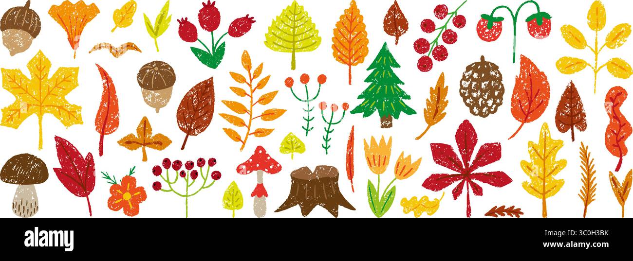 Farbstift Herbstwaldelemente. Buntstift zeichnet rote Beeren, Kiefer, Eichel, Tanne. Eichenahorn Birkenblätter, Herbst saisonal kindisch gezeichnet neoterisch Stock Vektor