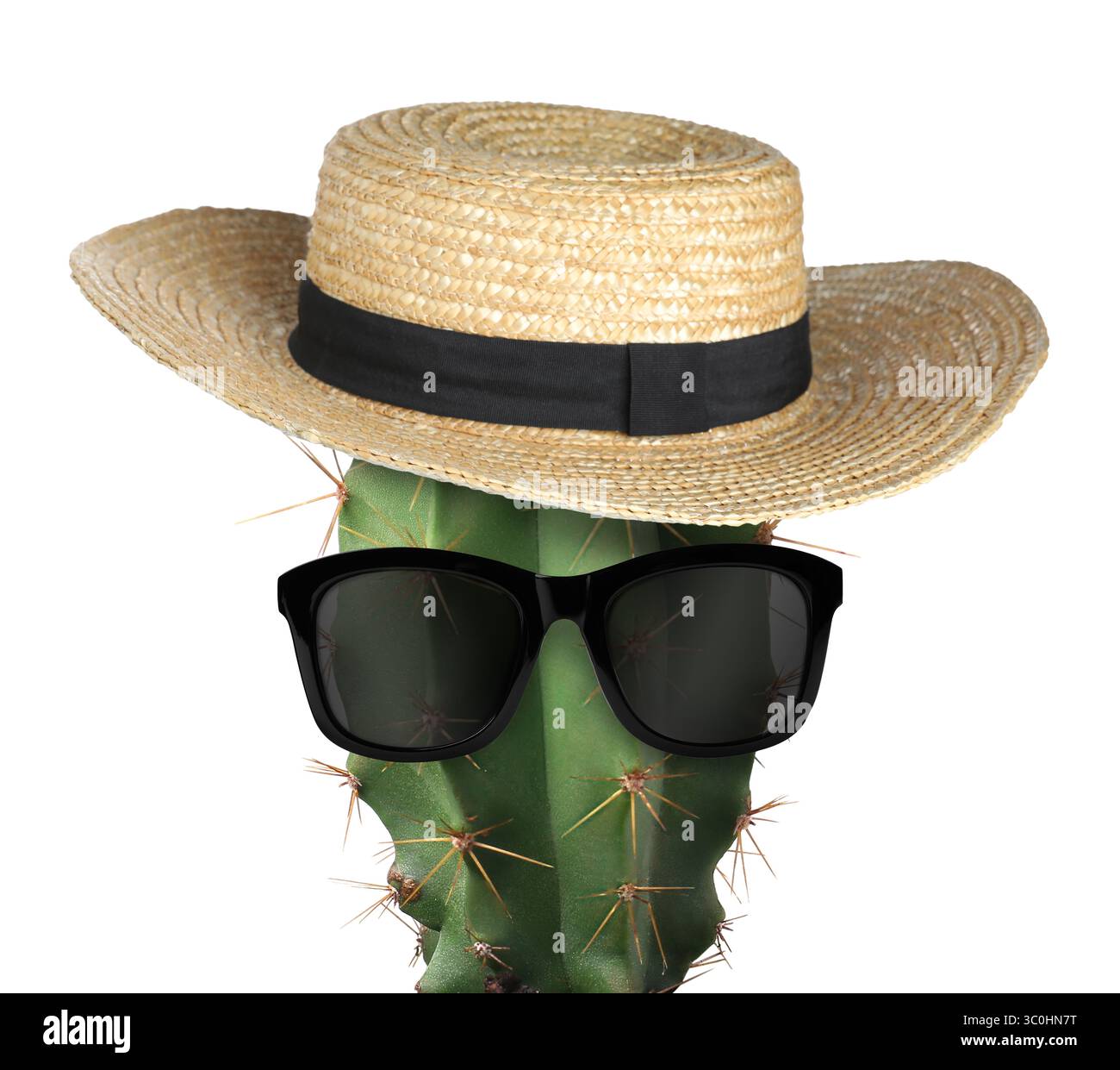 Kakteen mit Sonnenbrille und Hut auf weißem Hintergrund Stockfoto
