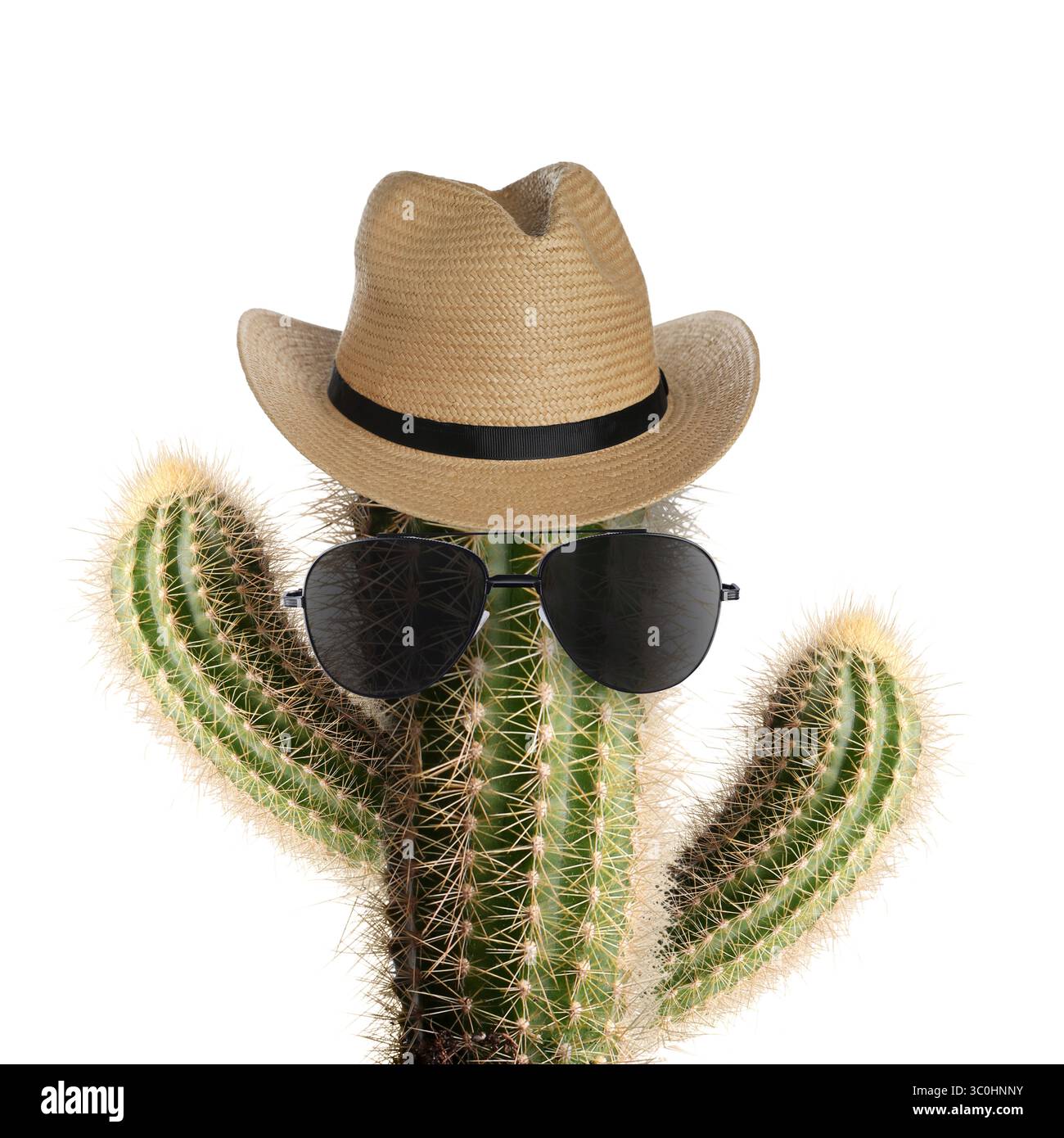 Kakteen mit Sonnenbrille und Hut auf weißem Hintergrund Stockfoto