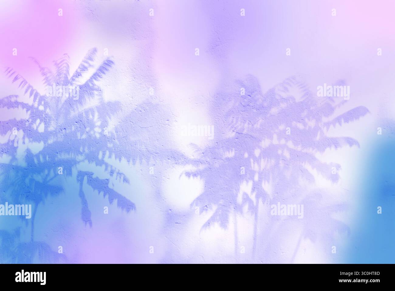 Neonschatten an der Wand von Palmen. Schattenüberlagerung tropischer Palmenblätter. Stockfoto