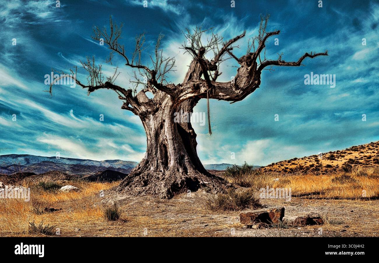 Alter Krieger Stockfoto