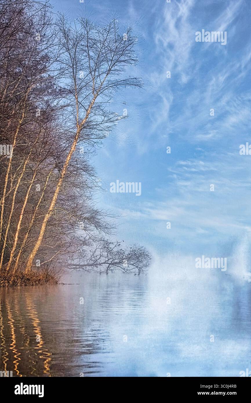 Misty Morning Stockfoto