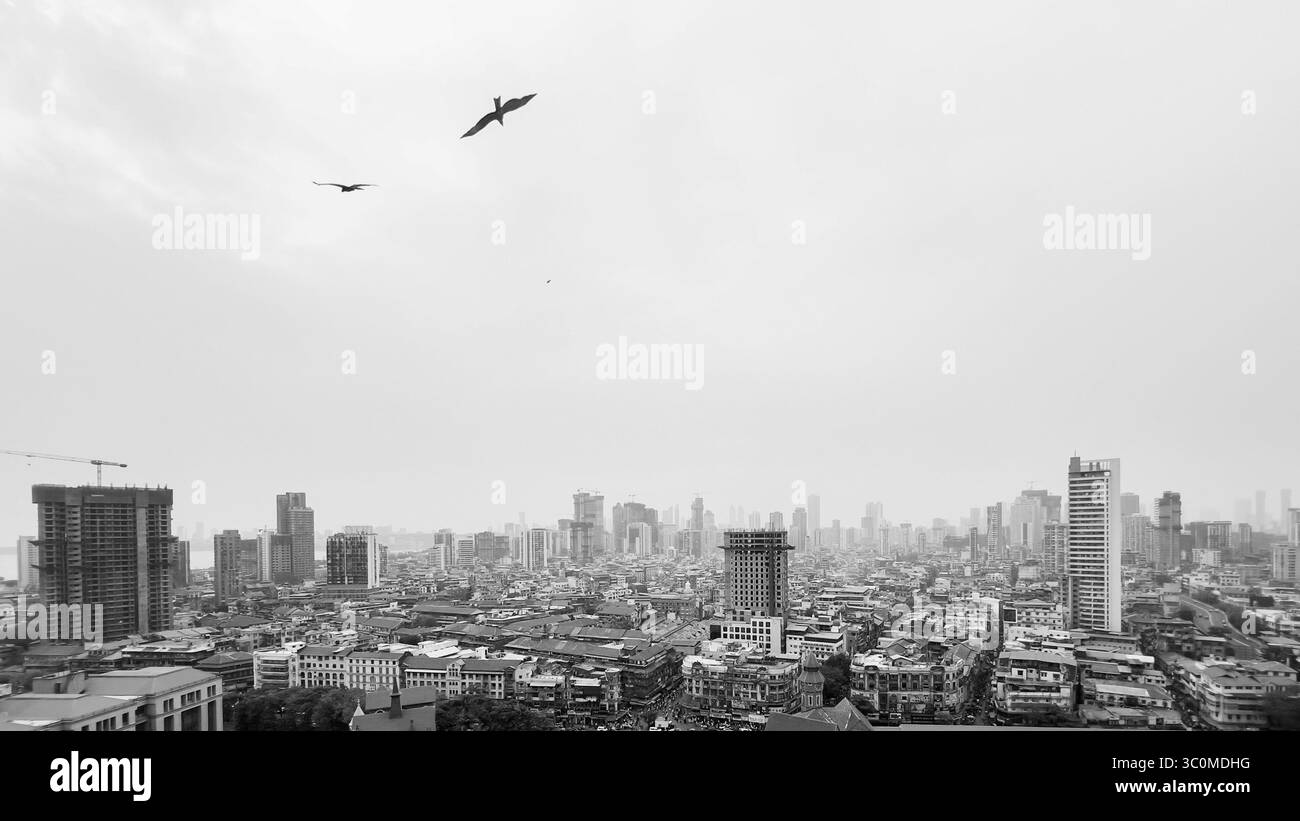 Luftaufnahme der Skyline von Mumbai City in Schwarzweiß mit Vögeln, die über Kopf fliegen Stockfoto
