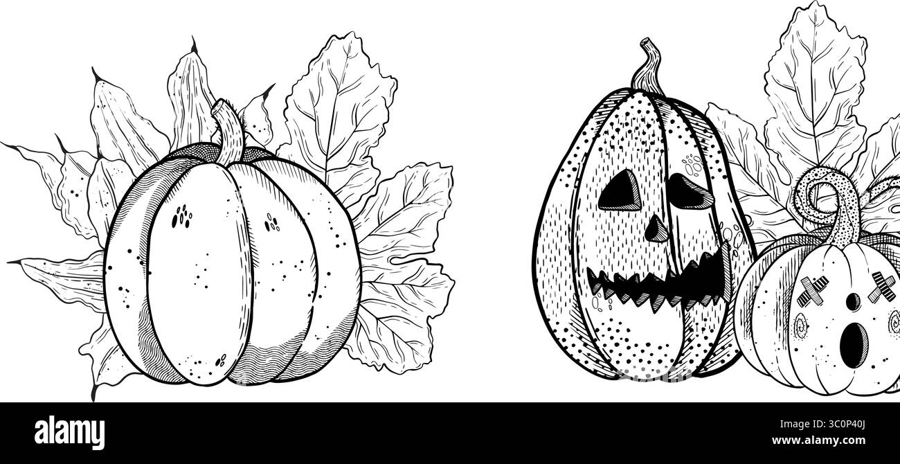 Eine wunderschön detaillierte, handgezeichnete Illustration eines lebendigen Kürbis, umgeben von üppigen, grünen Blättern. Handgezeichnete Vektor-Schwarzweiß-Grafiken in Strichgrafik Stock Vektor