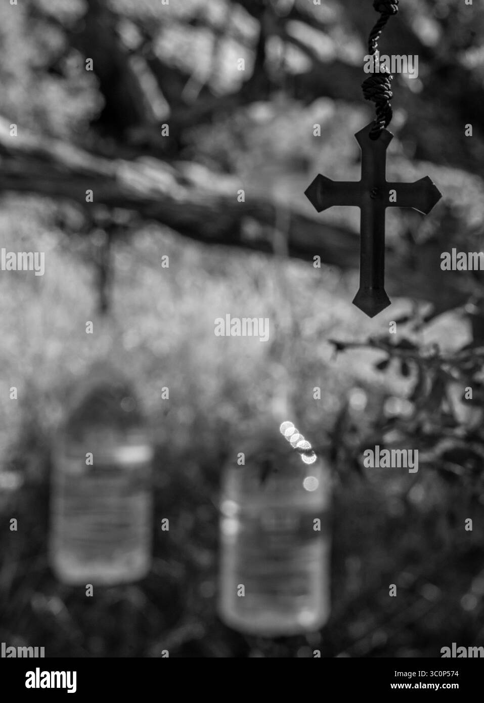 9. November 2018 - Tuscon, Arizona, USA - Mitglieder von No Mas Muertes platzieren Wasser auf Bäumen im Coronado National Forest bei Arivaca für Migranten, die durch das Gebiet ziehen. Ein Kreuz wird platziert, um die Migranten wissen zu lassen, dass das Wasser sicher zu trinken ist. (Bild: © Richard Tsong-Taatarii/ZUMA Wire) Stockfoto