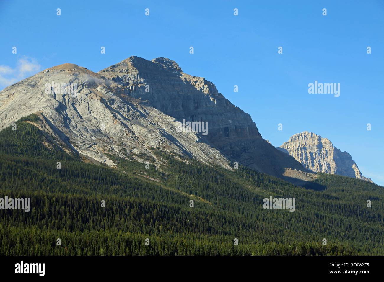 Kathedrale über dem Wald - Yoho National Park, British Columbia, Kanada Stockfoto Kathedrale über dem Wald - Yoho National Park, British Columbia, Kanada Stockfoto
