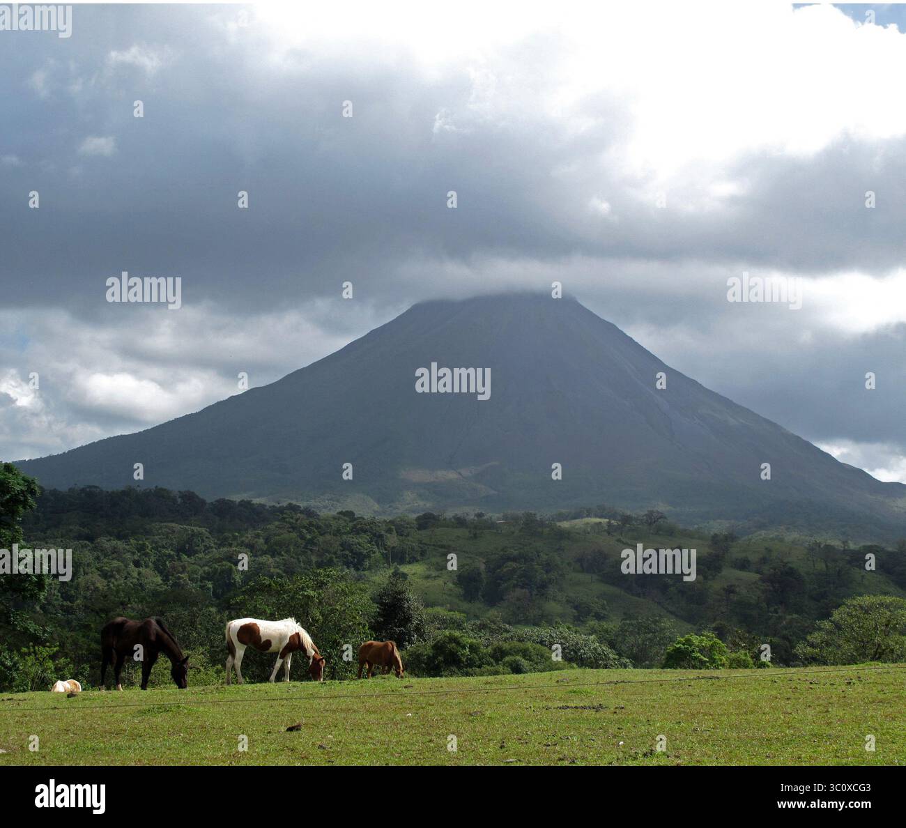 16. März 2015 - CRI - der Vulkan Arenal, vielleicht eines der bemerkenswertesten topografischen Merkmale Costa Ricas, ist von einem Nationalpark umgeben und liegt in der Nähe von ländlichen touristischen Stätten sowie Orten für Seilrutschen, Wildwasser-Rafting und Tauchen in den heißen Quellen. (Bild: © Terri Colby/Chicago Tribune/TNS via ZUMA Wire) Stockfoto