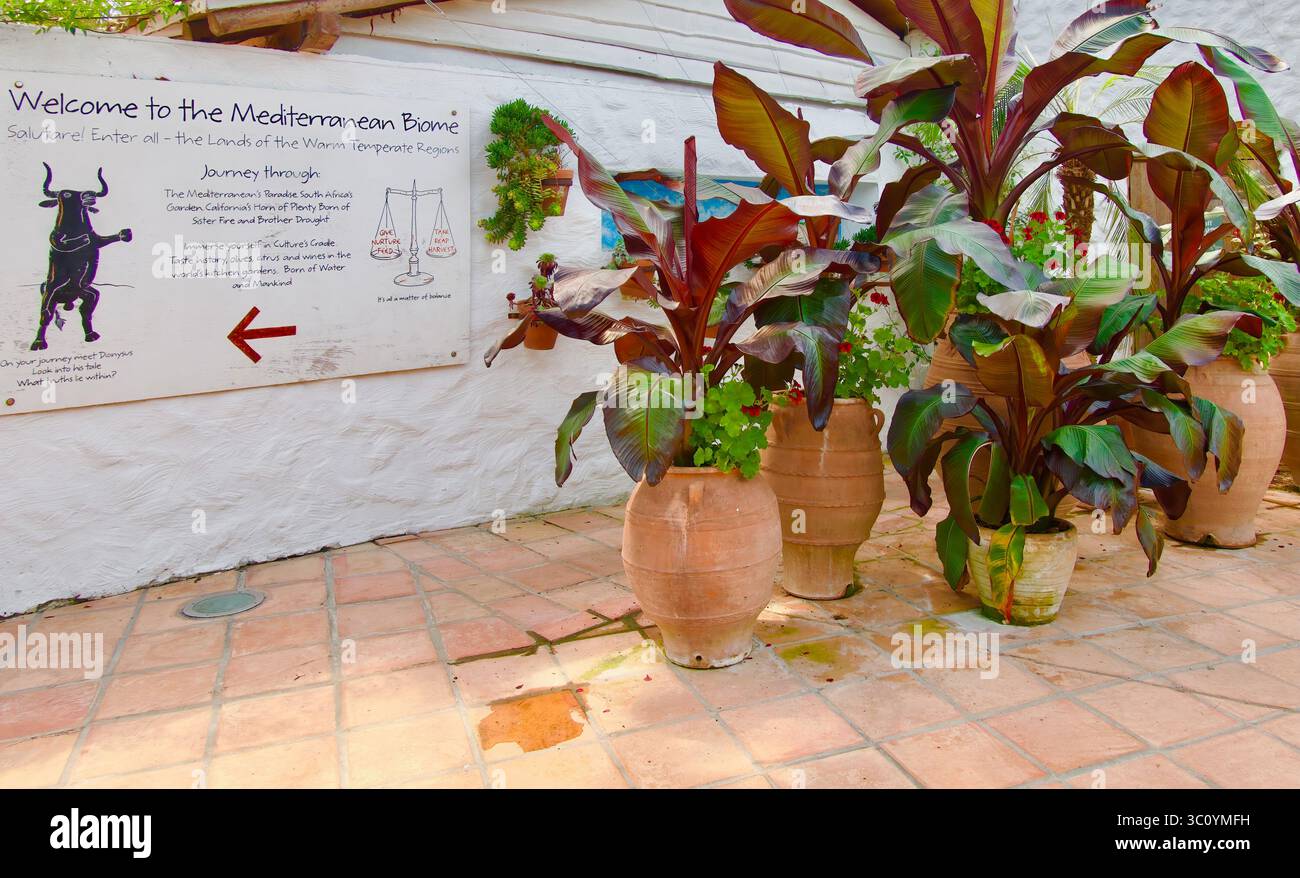 Willkommen zum mediterranen Biome-Schild am Eingang mit Topfpflanzen das Eden Project Bodelva Cornwall England UK Stockfoto