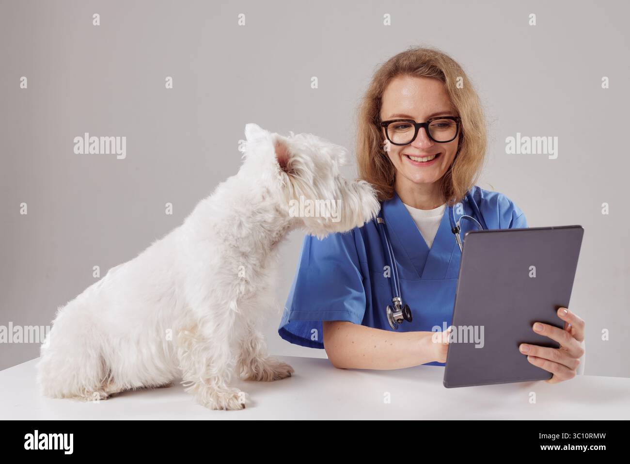 Tierärztliche Beratung mit Hund mit digitalem Tablet in der Klinik, moderne Tiermedizin und professionelle Beratung Stockfoto