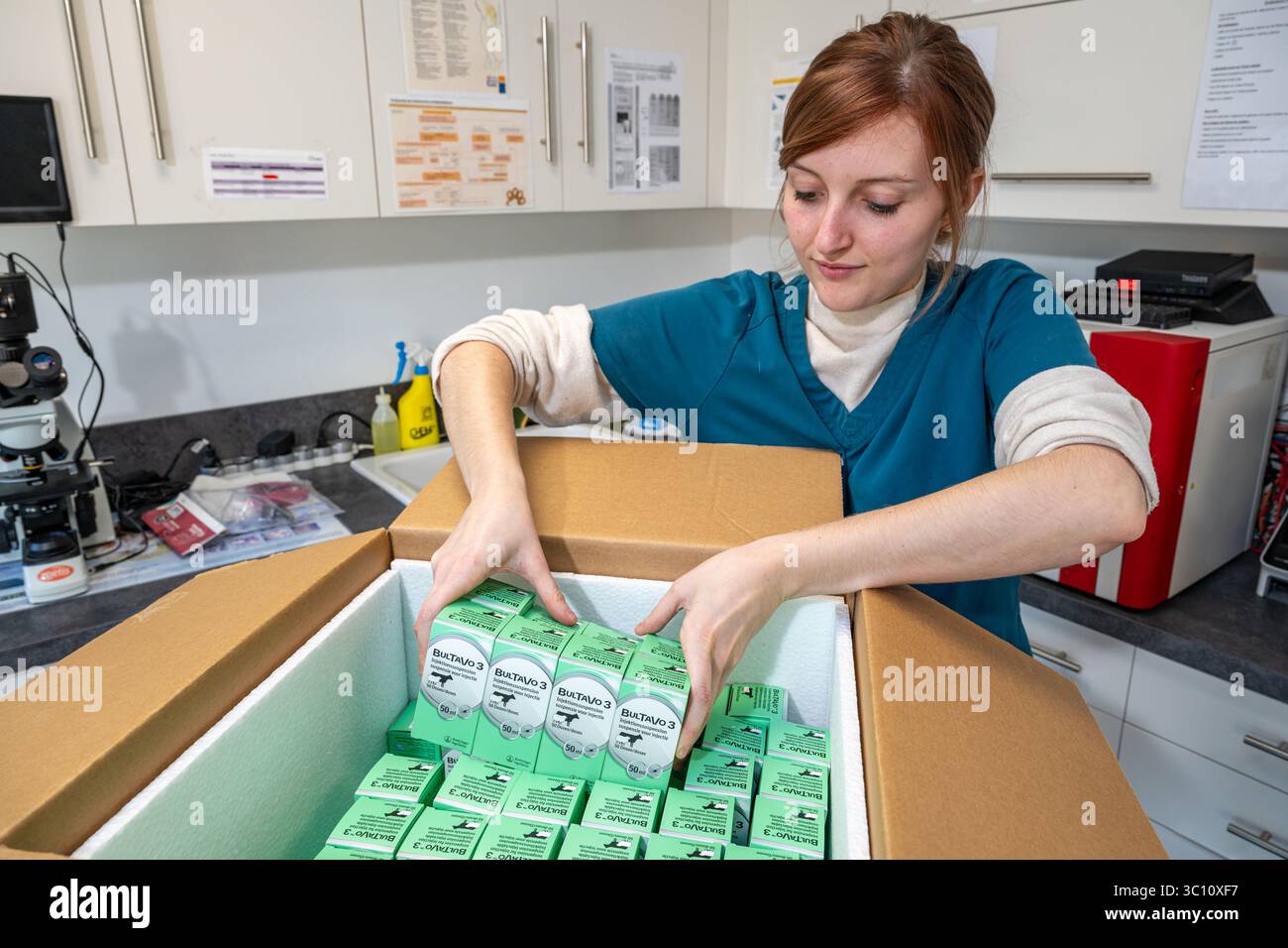 Impfkampagne gegen die Blauzungenkrankheit (BT). Dosen von Butalvo-Impfstoffen aus dem Bioveta-Labor einer ländlichen Veterinärklinik. Flaschen mit Stockfoto