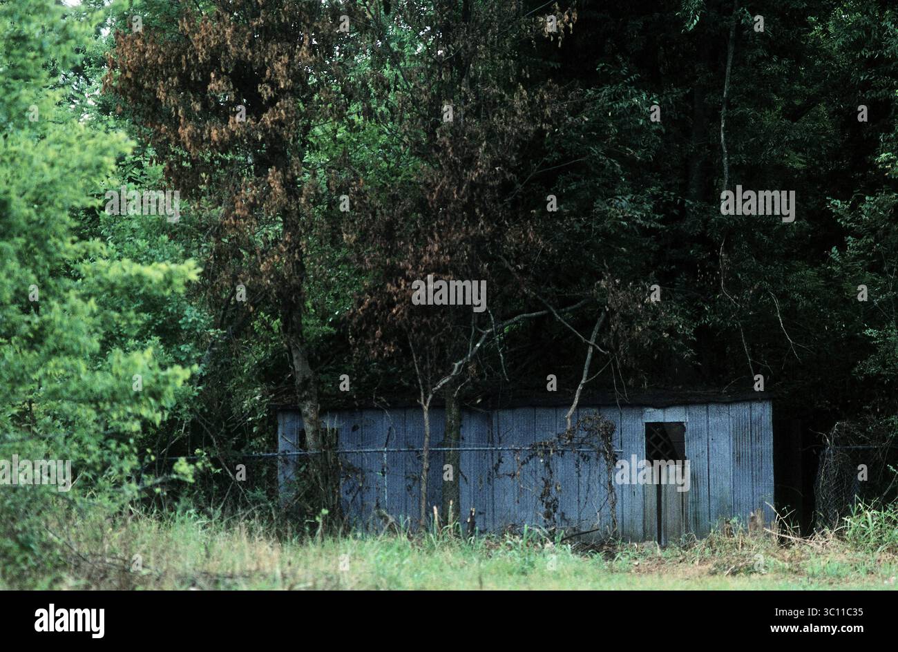 Versteckt im Wald markiert ein verlassenes Gefängnis den Lauf der Zeit in ländlichen Pace MS Stockfoto Versteckt im Wald markiert ein verlassenes Gefängnis den Lauf der Zeit in ländlichen Pace MS Stockfoto