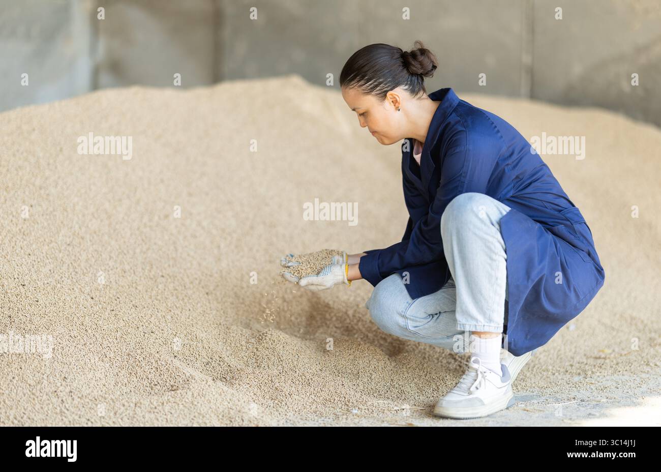 Weibliche Landwirte mittleren Alters, die Granulatfutter überprüfen Stockfoto