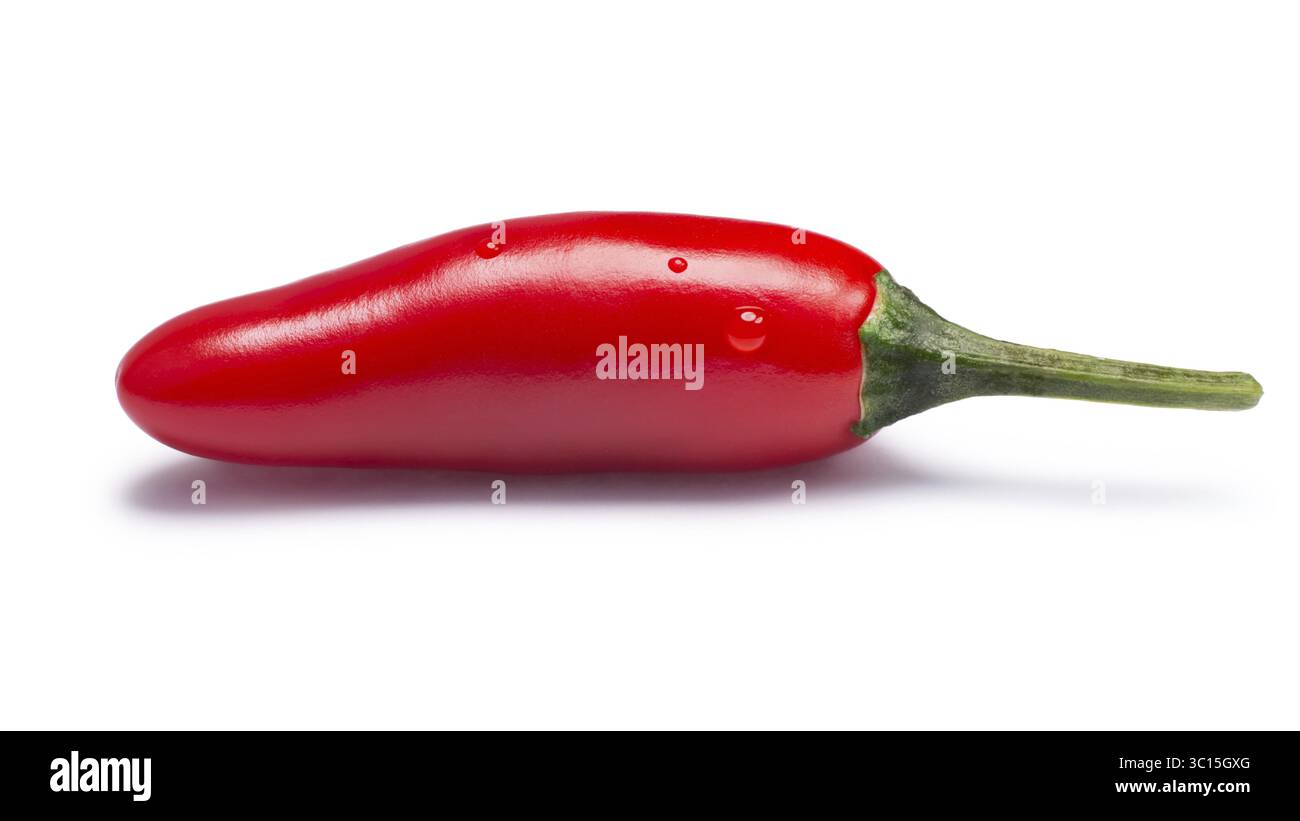 Serrano Tampiqueno Chile Pfeffer (Capsicum Annuum), rot reif. Schneidepfade, Schatten getrennt Stockfoto