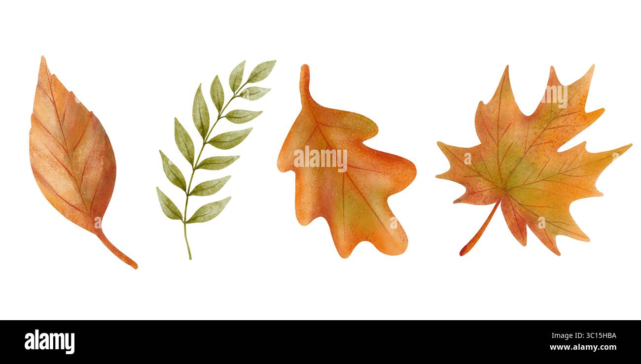 Ein Satz Clipart mit Herbstblättern. Handgezeichnet in einem weichen Aquarellstil, sind sie perfekt für die saisonale Dekoration, Drucke und Kunsthandwerk. Stockfoto