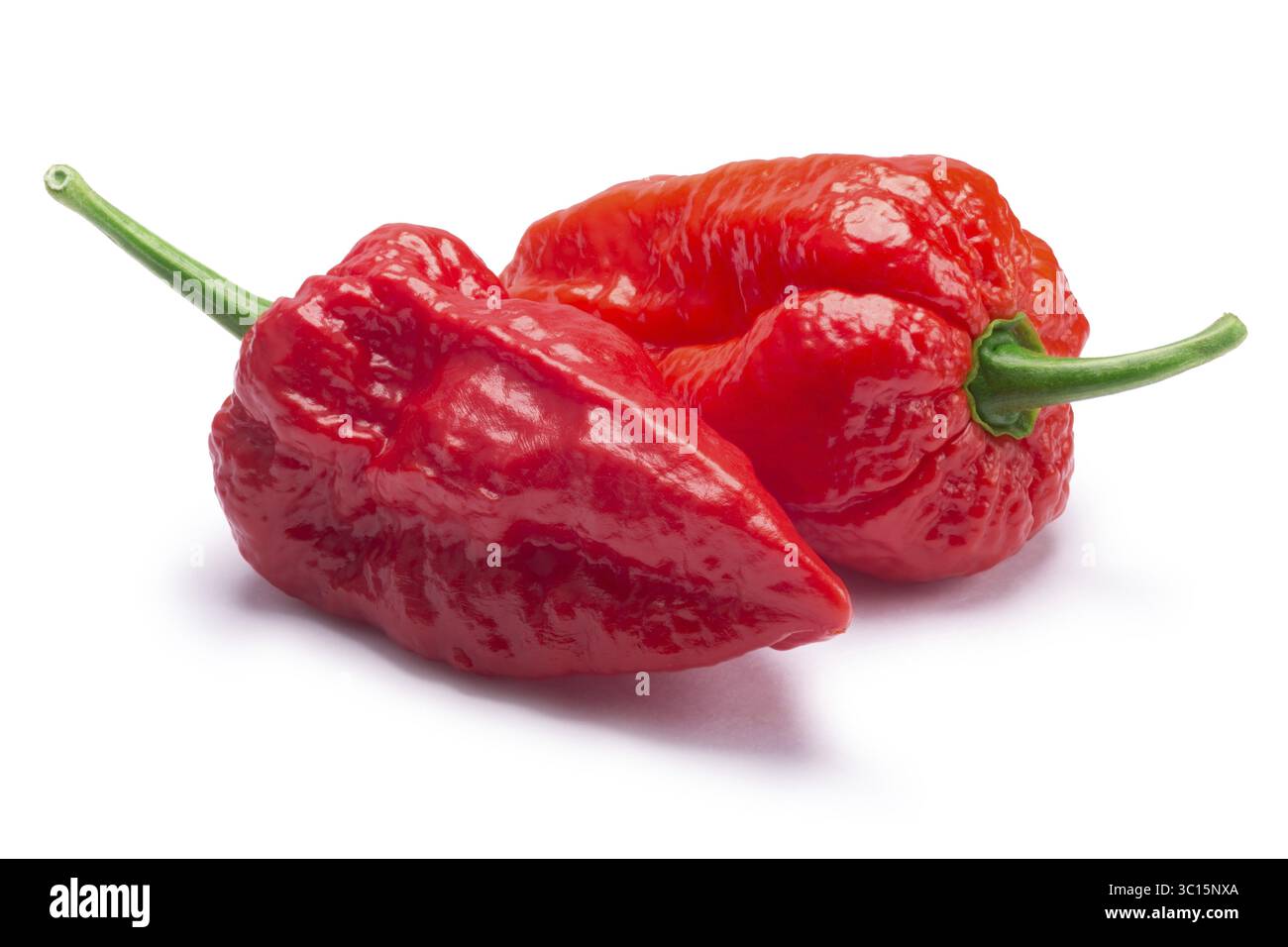 Bhut Jolokia Chili Paprika (Capsicum Frutescens x Capsicum Chinense Hybrid) Geist. Schneidepfade, Schatten getrennt Stockfoto