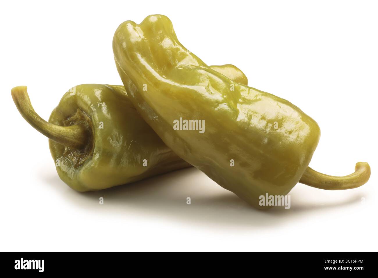 Eingelegte goldene griechische Paprika, Peperoncini oder Friggitelli (Toskana, Stavros, Capsicum Annuum). Schneidepfade, Schatten getrennt Stockfoto