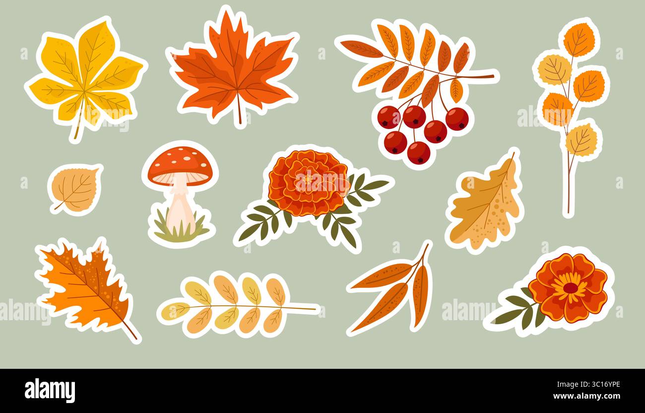 Herbstaufkleber-Set. Sammlung von Herbstbaumblättern, Blumen, Beeren und Pilzen. Niedliche Elemente für den Herbst. Stock Vektor