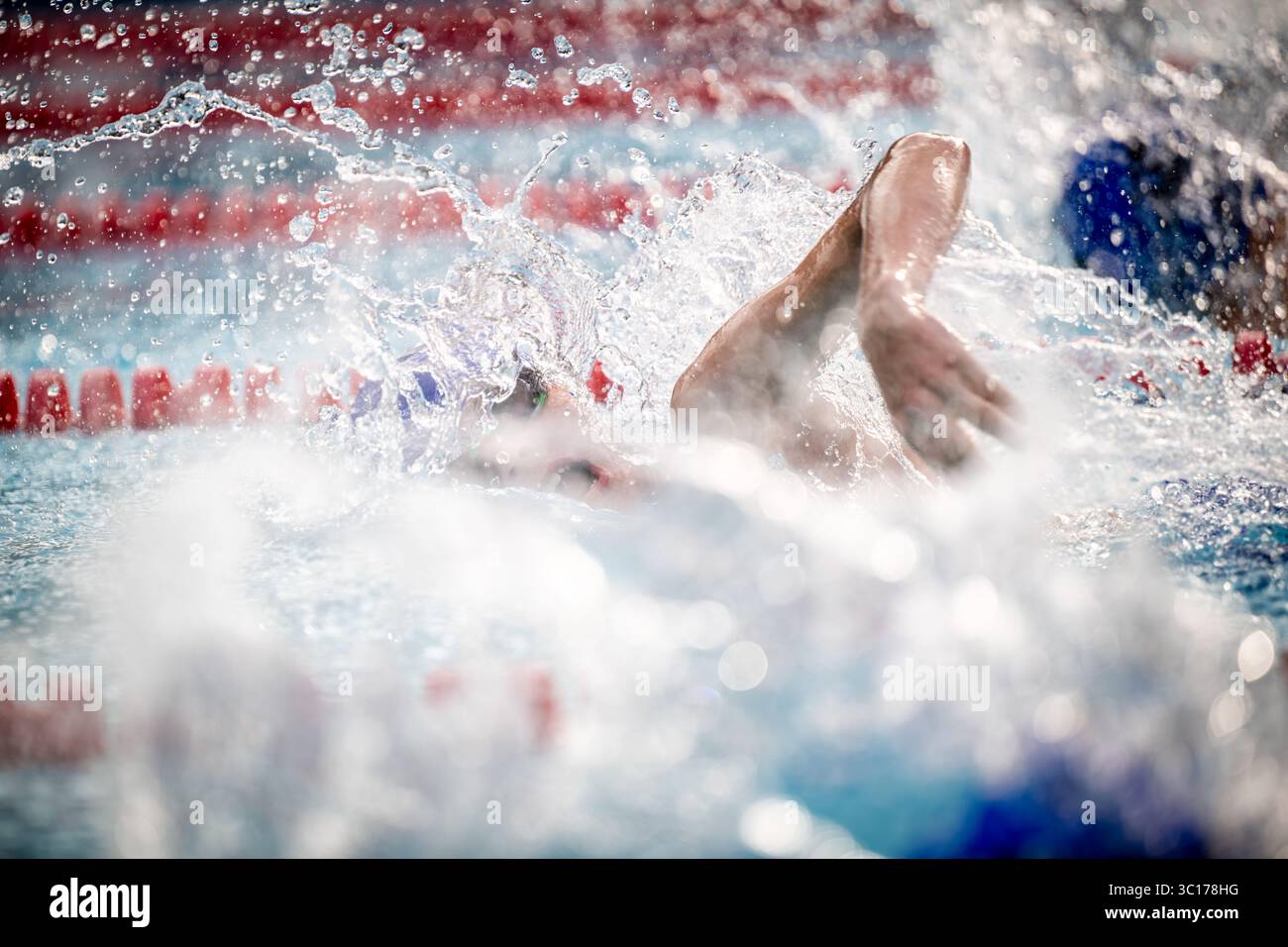 AKC vs Ashburn Aquajets | VEREINIGTE STAATEN — Der Arm eines Schwimmers schneidet beim Freistilschwimmen durch Spritzer während eines Wettkampfs, Wasser spritzt um Kopf und Schultern, während rote, weiße und blaue Bahnseile die Rennbahnen umrahmen. Freistil, geschwommen mit einem abwechselnden Überhandkraulschwimmen, ist der schnellste und am häufigsten gerennte der vier Wettkampfschwimmstile. Die enge, wassernahen Aufnahmen betonen die Mechanik des Schwimmstils bei voller Anstrengung. Stockfoto