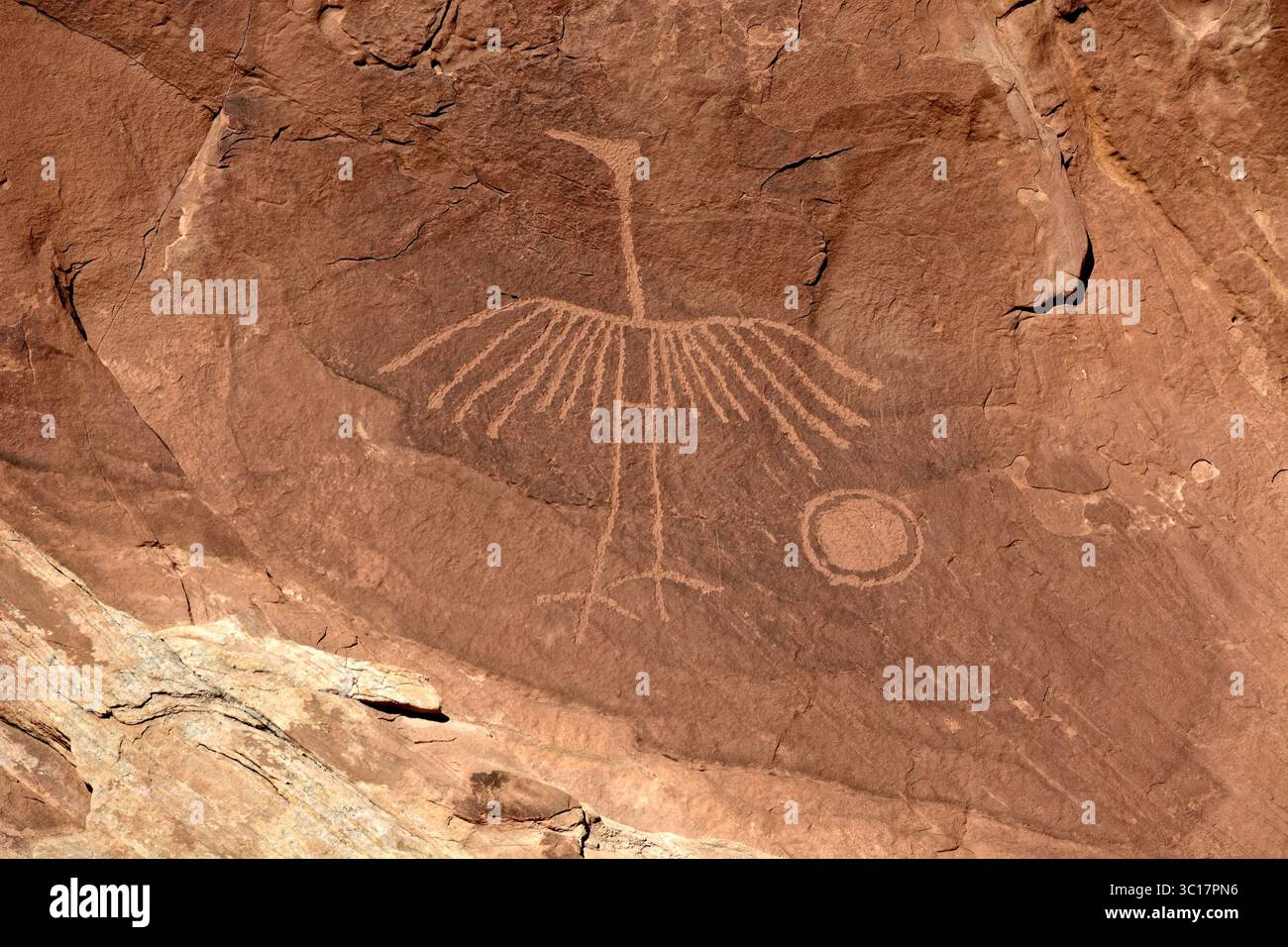 Big Crane Petroglyph, Utah, USA – Indianerpetroglyphen auf Sandstein Stockfoto