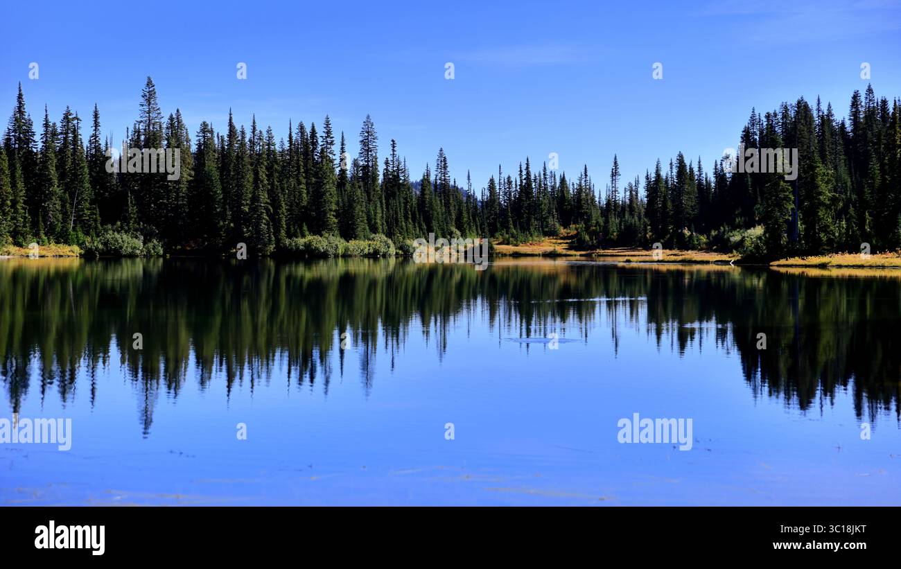 Hoch aufragende Tannen säumen einen glasklaren See, dunkle Silhouetten spiegeln sich unter einem strahlend blauen Himmel und halten die ruhigen, wilden Reflexe des Bundesstaates Washington fest Stockfoto