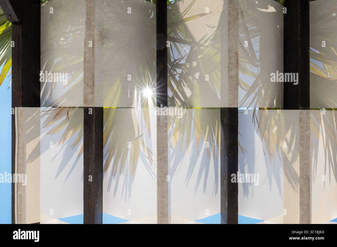 Sonnenschirm mit Palmenfronden-Silhouetten – Sonnenlicht filtert durch die Blätter und wirft zarte Schatten auf den durchscheinenden Stoff. La Palma, Kanarischen Inseln. Stockfoto