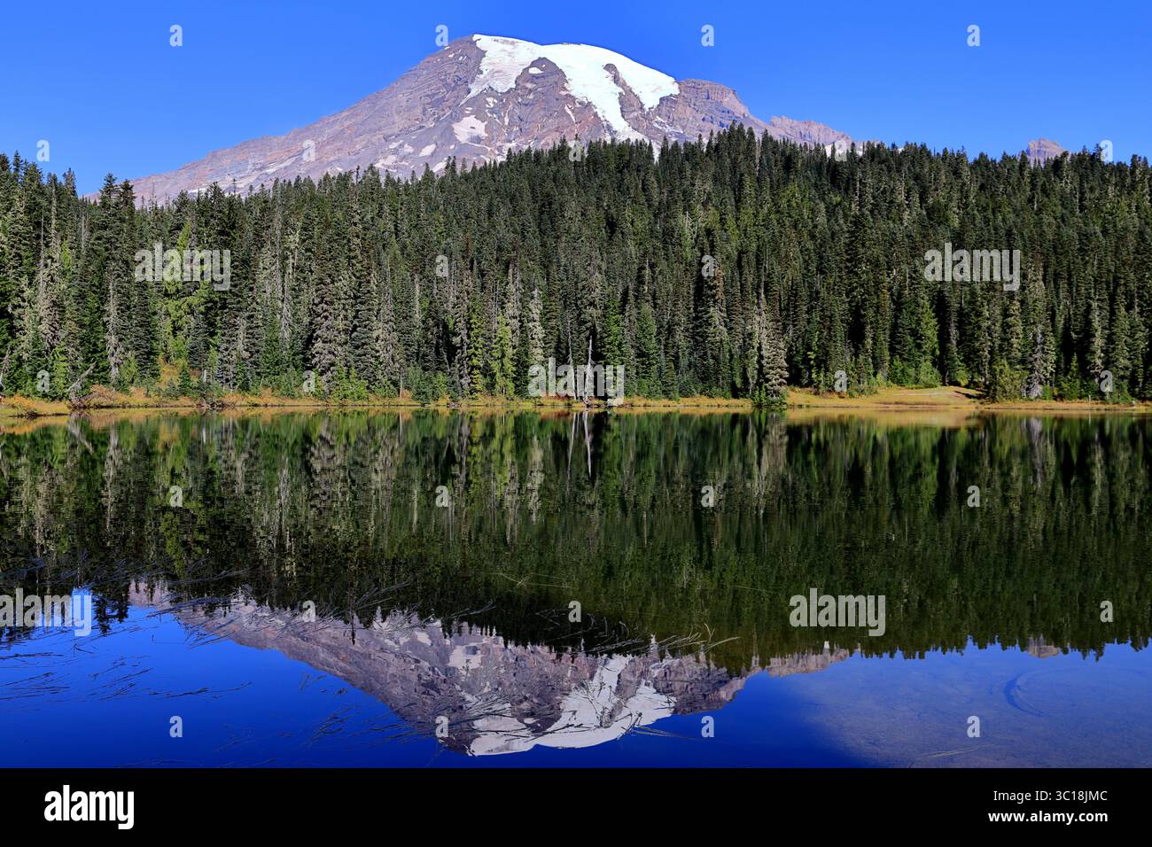 Der Mount Rainier erhebt sich hinter einem ruhigen Bergsee, wo sich dichte Kiefernwälder und felsige Hänge perfekt unter einem pulsierenden Himmel spiegeln. Stockfoto