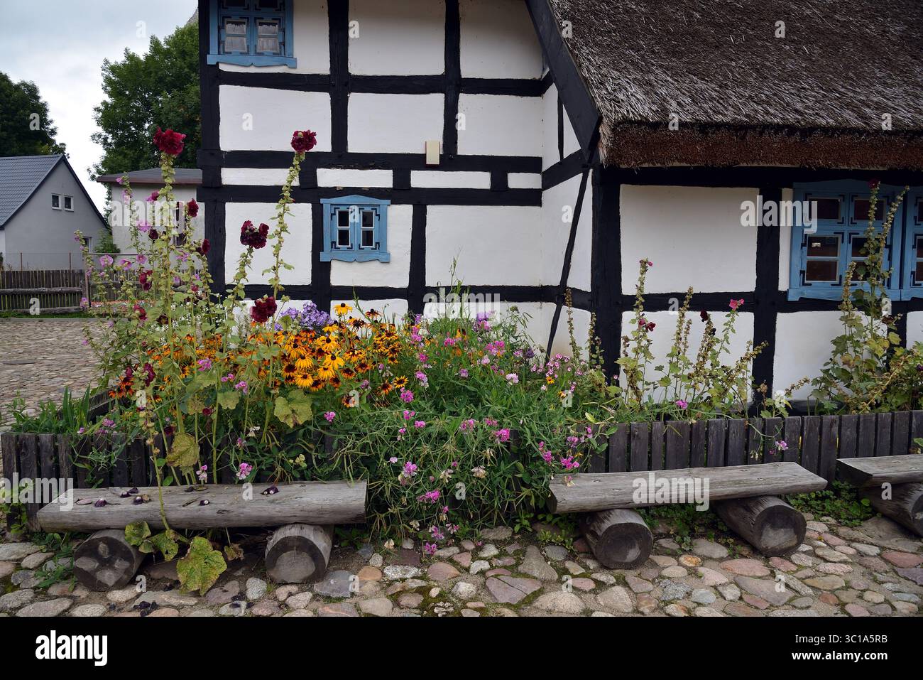 Ein traditionelles Fachwerkhaus mit einem blauen Fenster und einem blühenden Cottage-Garten voller Hollyhocks und schwarzäugiger Sans im Vordergrund. Stockfoto Ein traditionelles Fachwerkhaus mit einem blauen Fenster und einem blühenden Cottage-Garten voller Hollyhocks und schwarzäugiger Sans im Vordergrund. Stockfoto