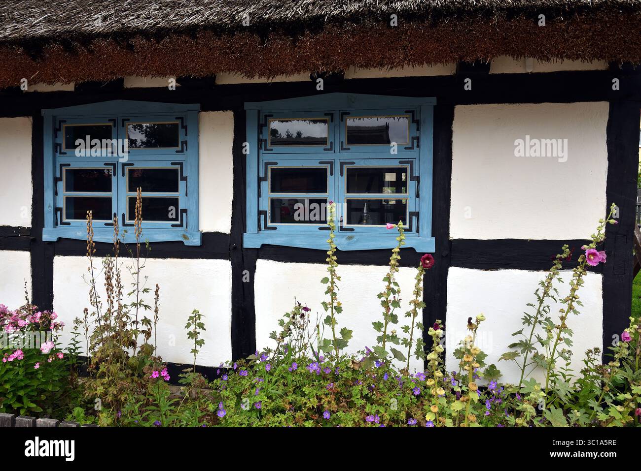 Ein traditionelles Fachwerkhaus mit einem blauen Fenster und einem blühenden Cottage-Garten voller Hollyhocks und schwarzäugiger Sans im Vordergrund. Stockfoto Ein traditionelles Fachwerkhaus mit einem blauen Fenster und einem blühenden Cottage-Garten voller Hollyhocks und schwarzäugiger Sans im Vordergrund. Stockfoto