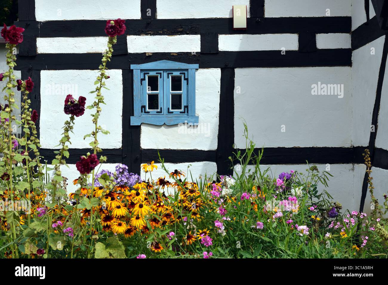 Ein traditionelles Fachwerkhaus mit einem blauen Fenster und einem blühenden Cottage-Garten voller Hollyhocks und schwarzäugiger Sans im Vordergrund. Stockfoto Ein traditionelles Fachwerkhaus mit einem blauen Fenster und einem blühenden Cottage-Garten voller Hollyhocks und schwarzäugiger Sans im Vordergrund. Stockfoto