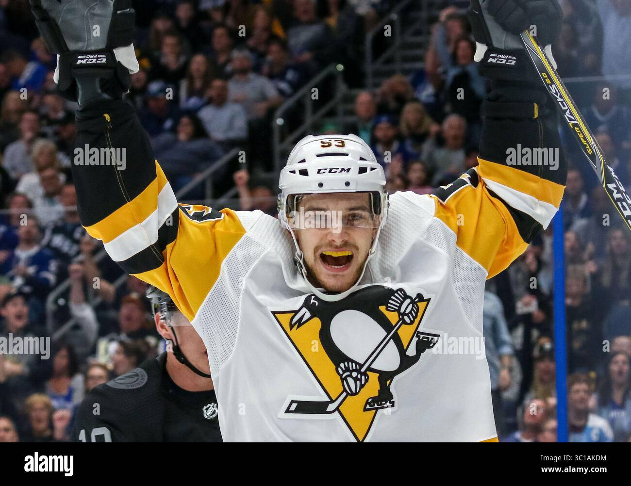 9. Februar 2019: Pittsburgh Penguins Center Teddy Blueger (53) feiert den linken Flügel der Pittsburgh Penguins Garrett Wilson (10), der in der 1. Periode des Spiels zwischen den Pittsburgh Penguins und den Tampa Bay Lightning in der Amalie Arena in Tampa, Florida, Torschütze. Tampa gewinnt mit 5:4. Del Mecum/CSM(Kreditbild: &Copy; Del Mecum/CSM via ZUMA Wire) Stockfoto