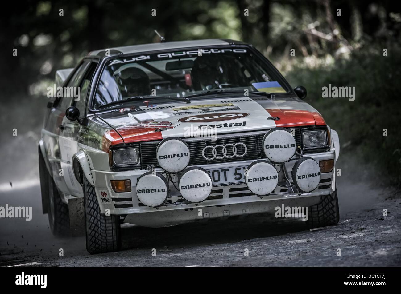 Goodwood Festival of Speed 2025 Forest Rallye Stage Goodwood, England 10/07/2025 Stockfoto
