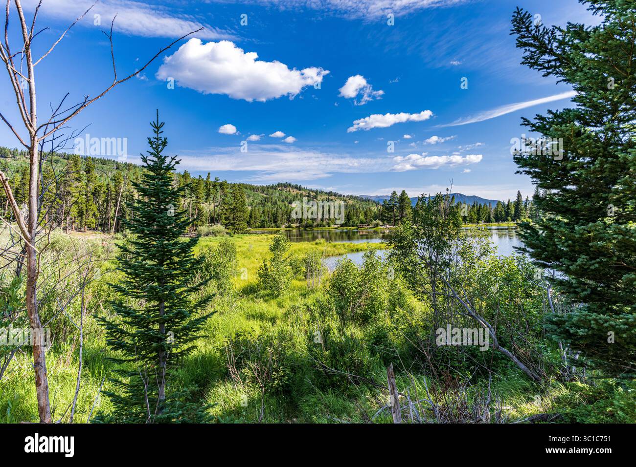 Sprague Lake am frühen Morgen im Rocky Mountain Nationalpark Stockfoto