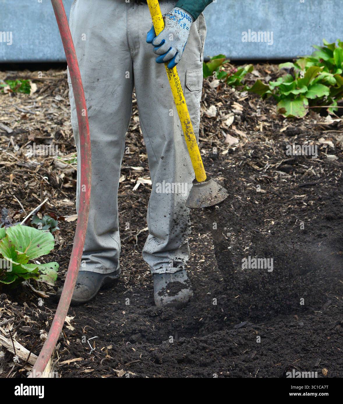 6. Mai 2014: St. Paul, MN, Minnesota, USA: Mike Van Dyken ein Techniker mit Experten von Bartley Tree benutzte das Druckluftwerkzeug, um den verdichteten Boden um eine Grateiche in der Nähe des Gorilla-Hauses zu lösen. Bartlett-Baum-Experten werden im Como Park Zoo eine Demonstration über einen neuen Prozess durchgeführt, der Luftwerkzeuge verwendet, um verdichteten Boden zu lösen -- eines der großen Probleme in kommerziellen Entwicklungen -- ohne Gräben zu graben und die Wurzeln bestehender Bäume zu stören und ein organisches Material namens "'Pflanzenkohle'" verwendet, das aus "'gekochter" Biomasse hergestellt wird, die mikrobielle Aktivität fördert und das Wachstum anregt. /Stern Stockfoto